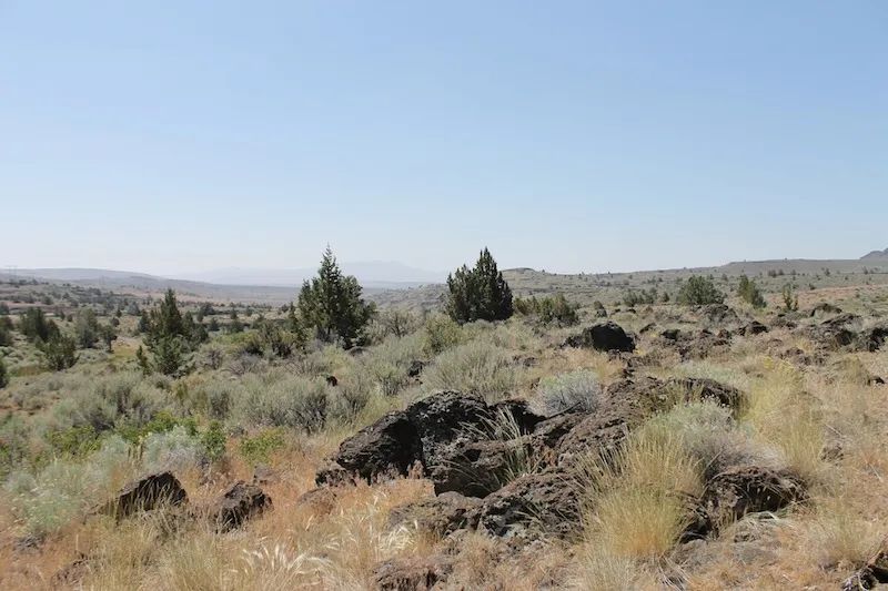 Moon Valley Ranch photo 3