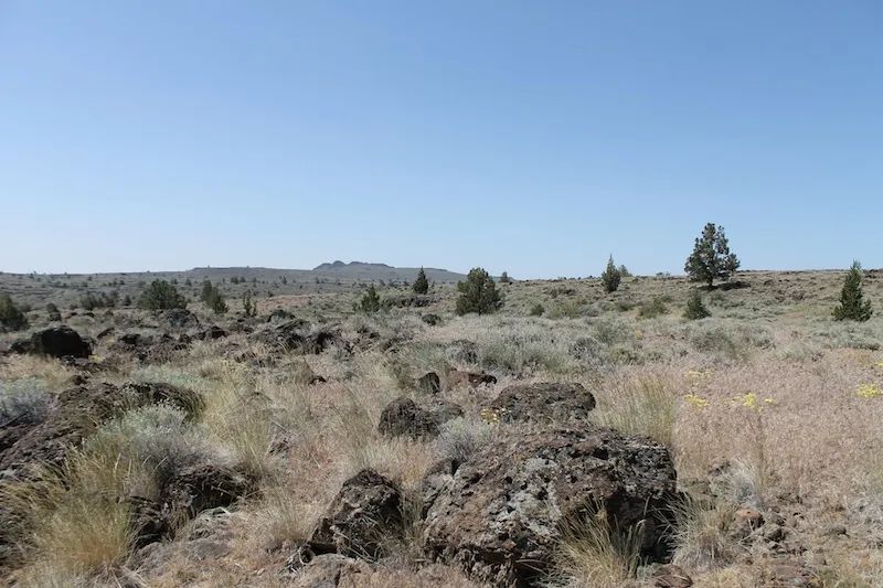 Moon Valley Ranch photo 4