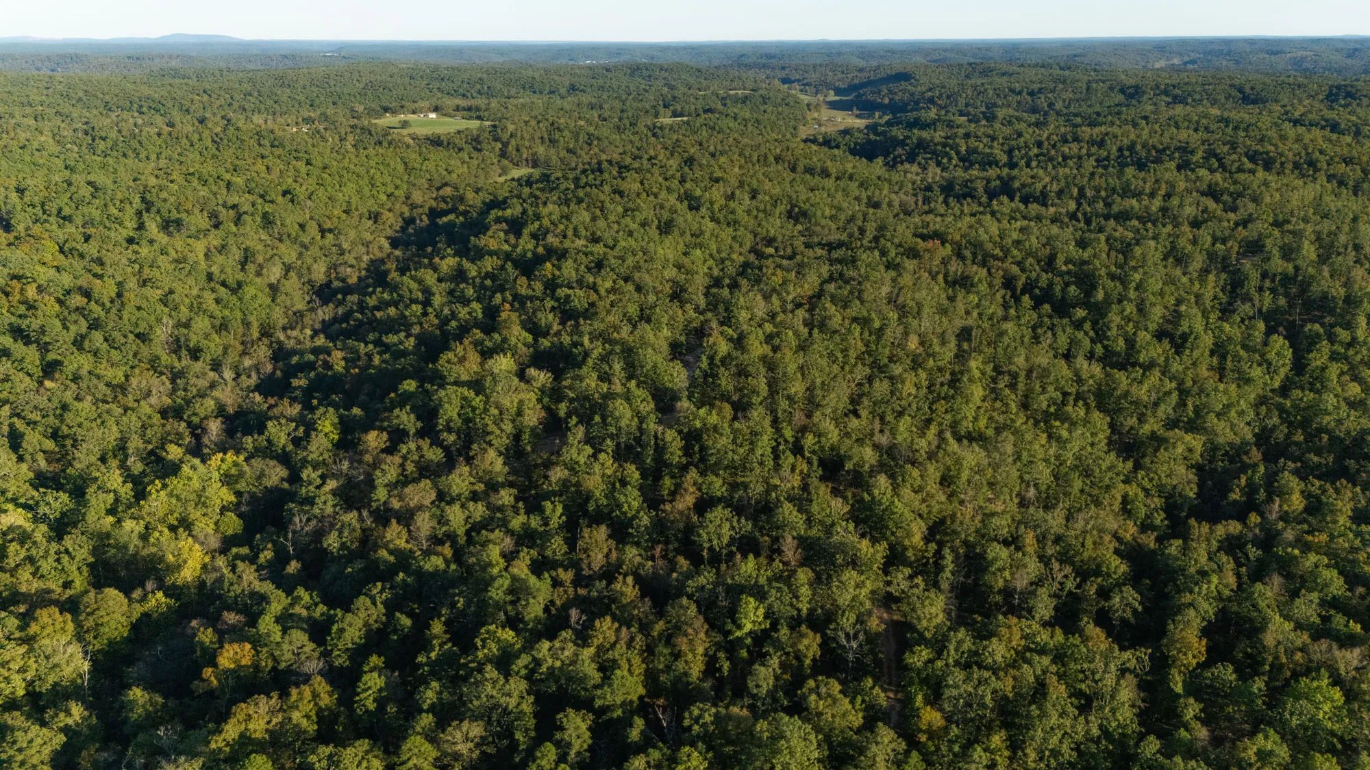 Fox Hollow photo 2