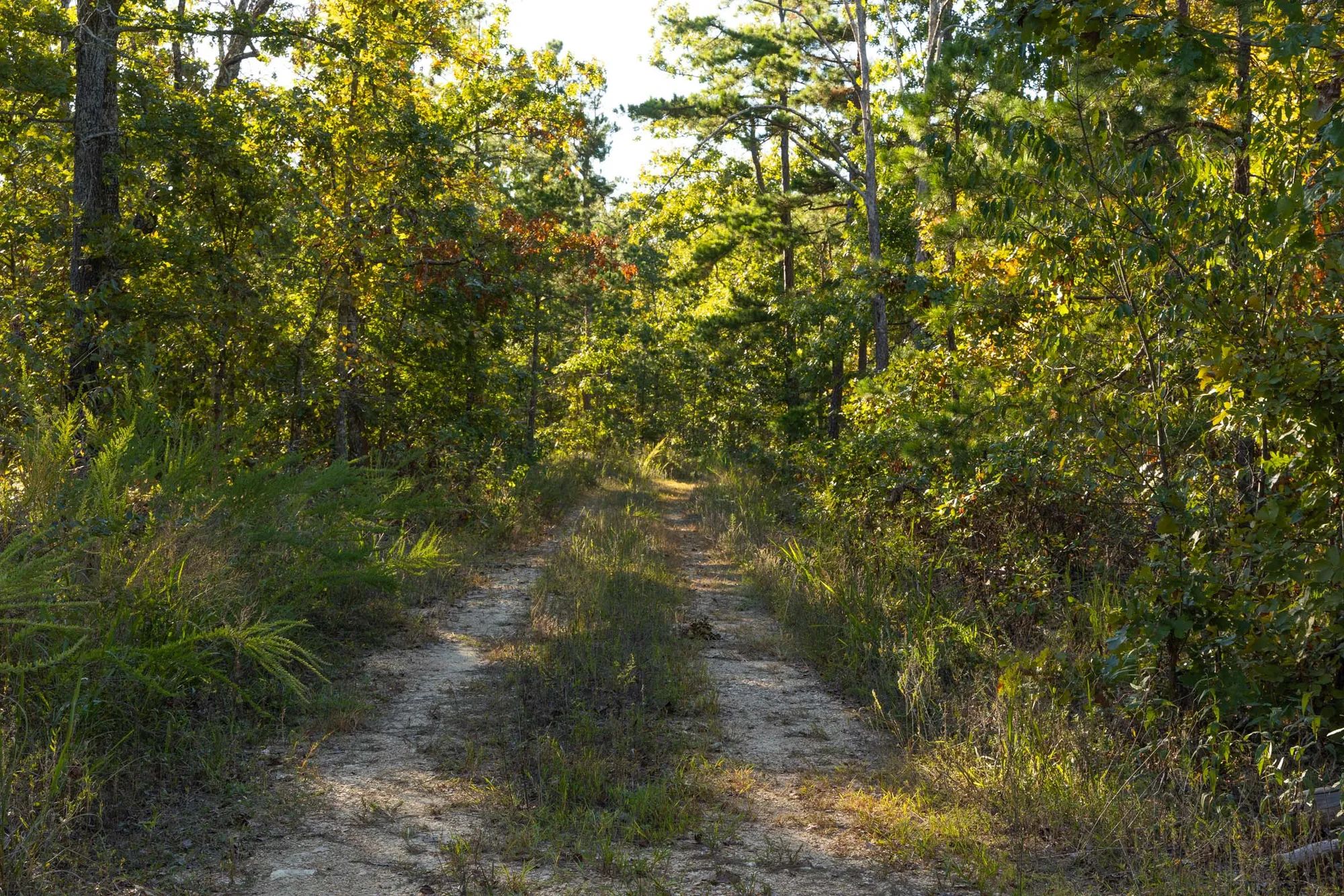 Fox Hollow photo 3