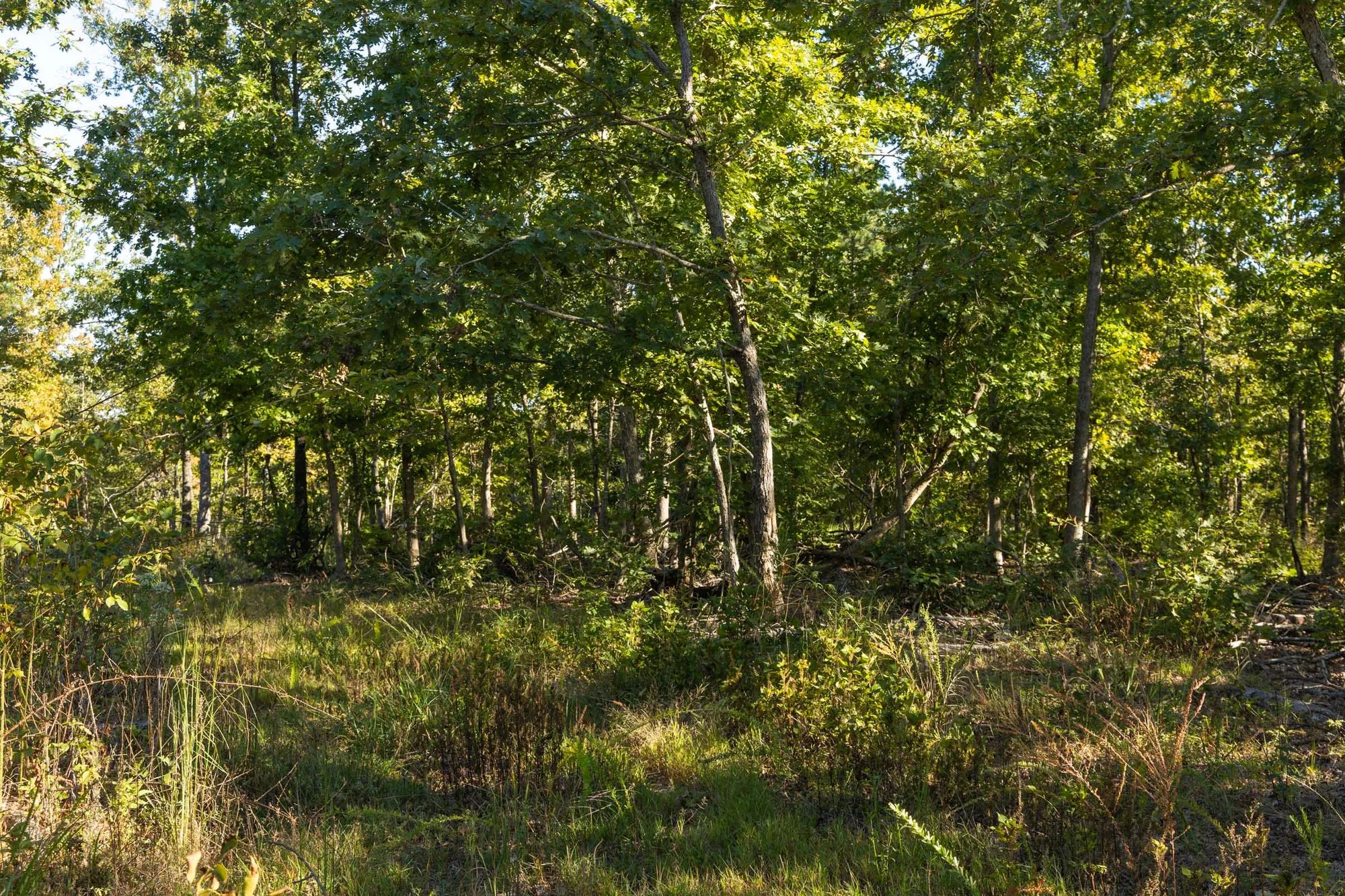 Fox Hollow photo 4