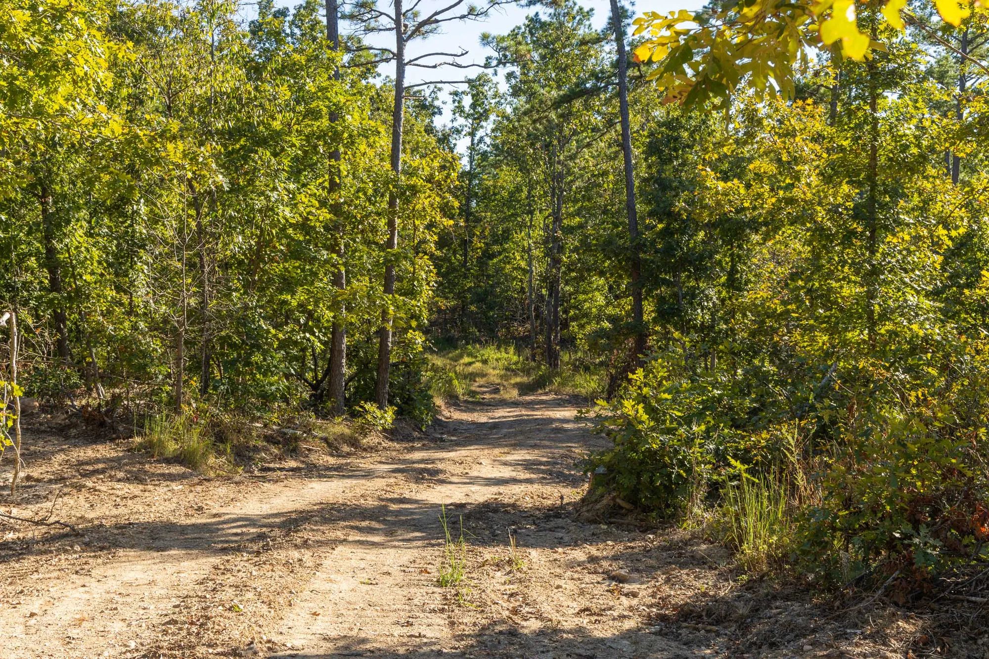 Fox Hollow photo 5