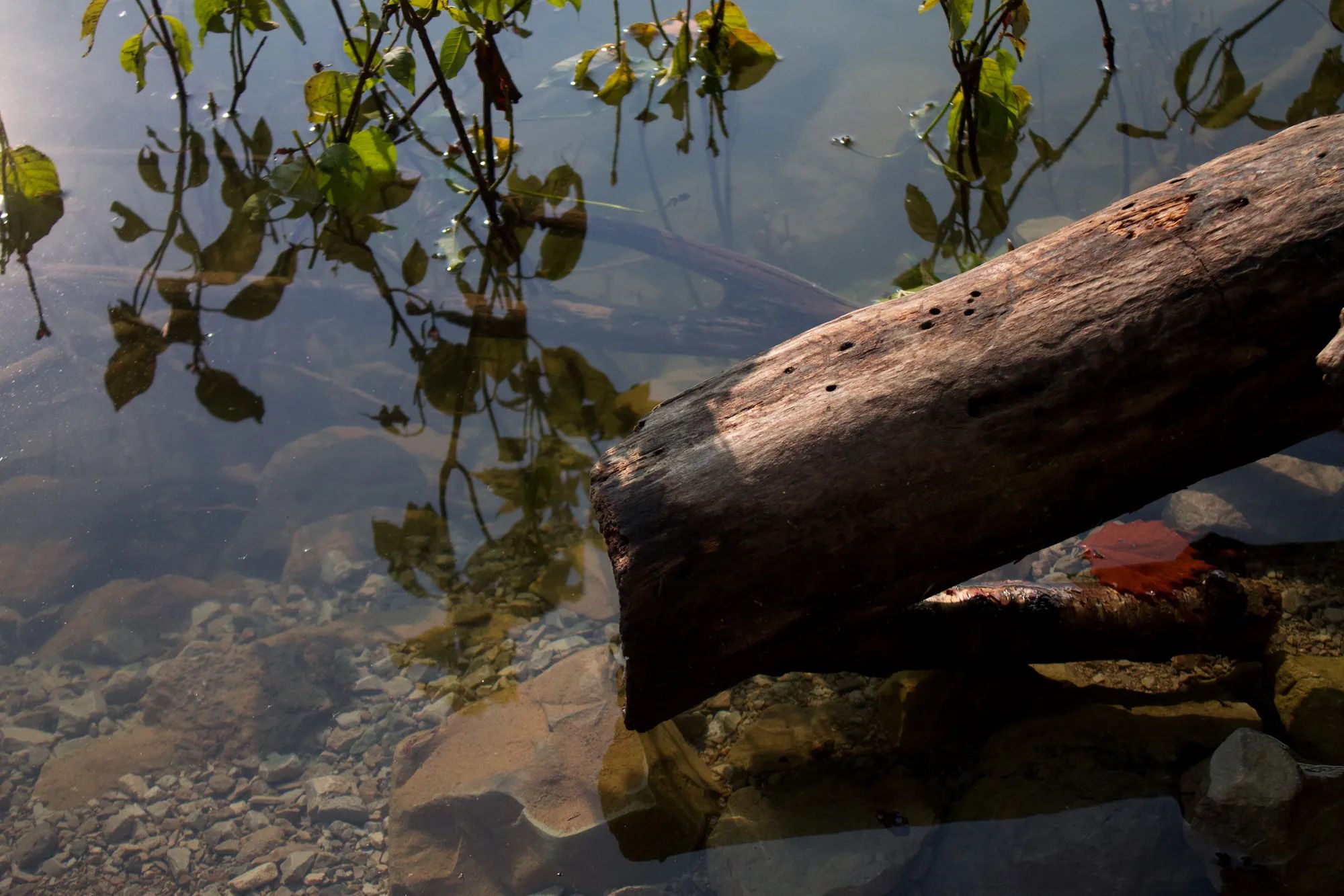 Bluewater Ridge photo 3