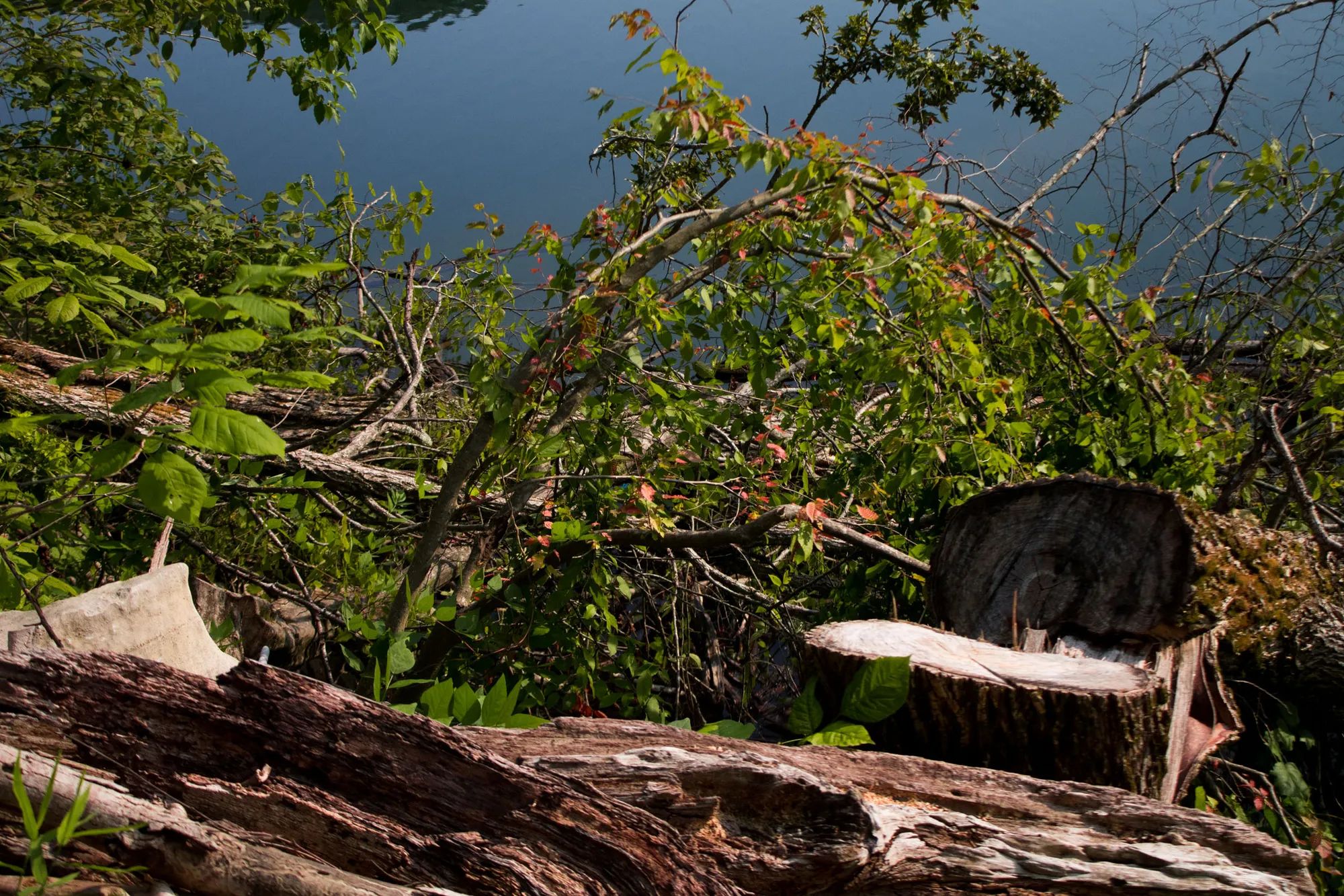 Bluewater Ridge photo 4