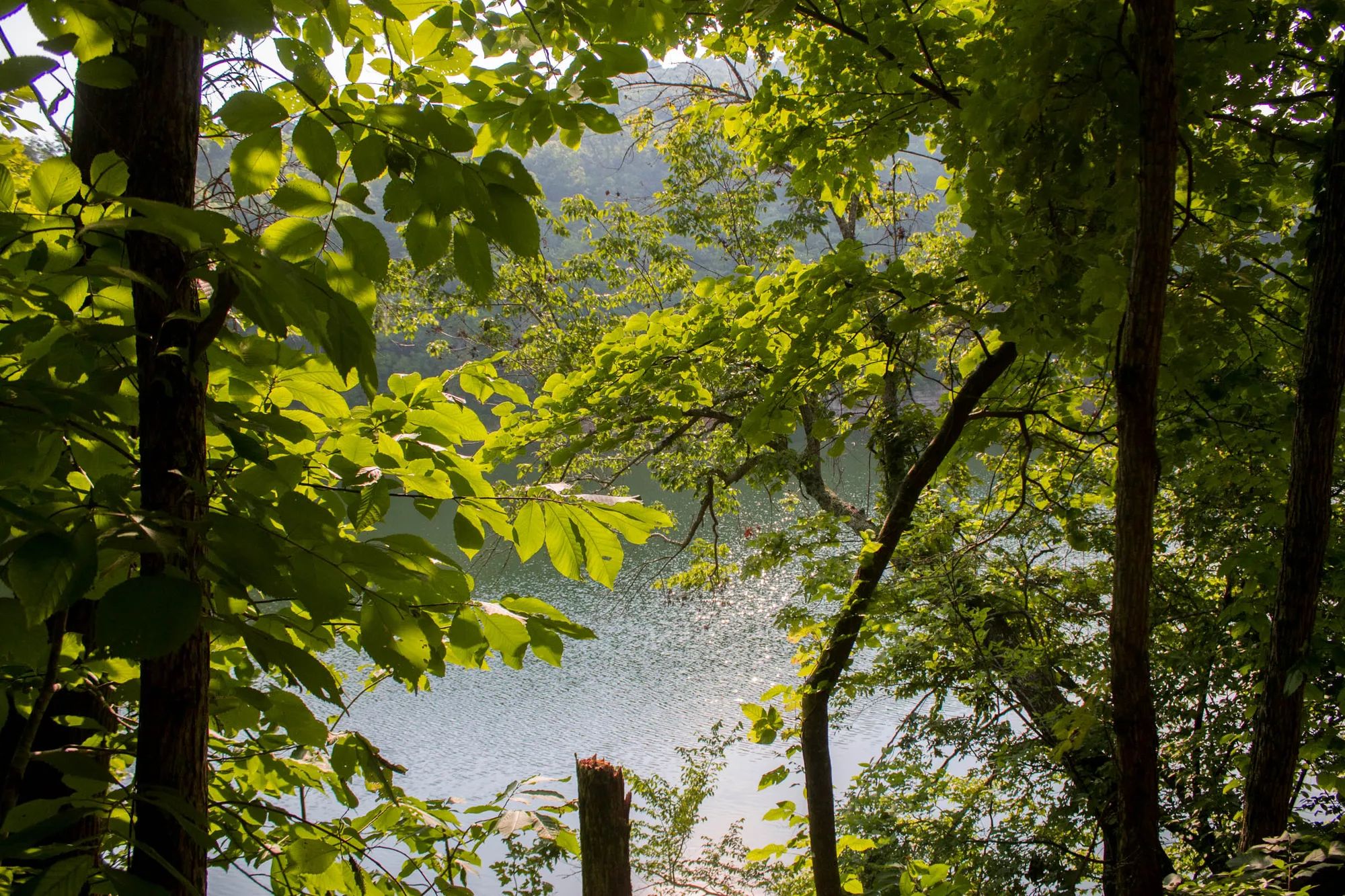 Bluewater Ridge photo 5