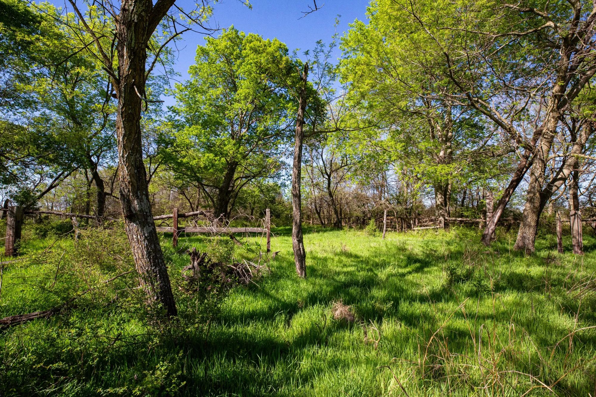 Prairie Grove photo 3