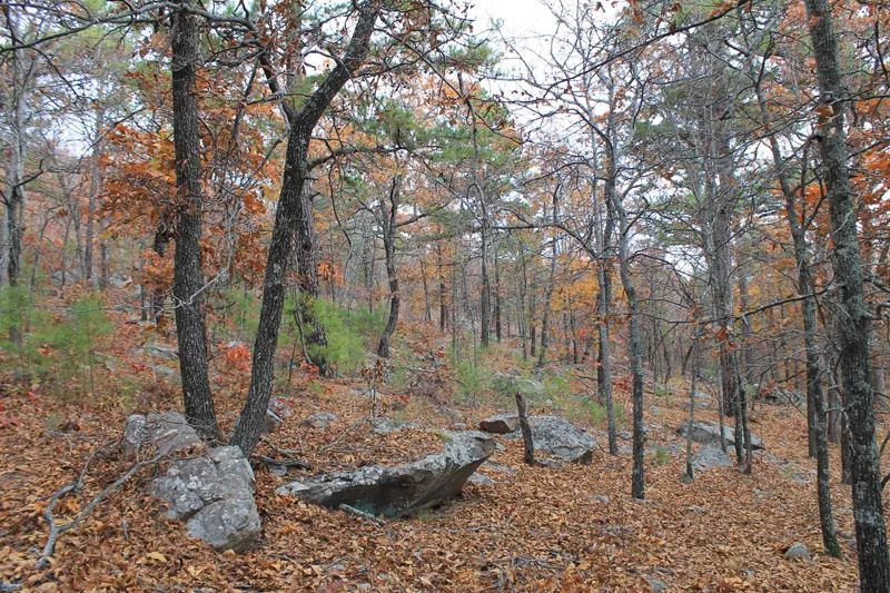 Indian Ridge – Phase I photo 2