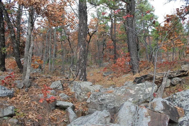 Indian Ridge – Phase I photo 3