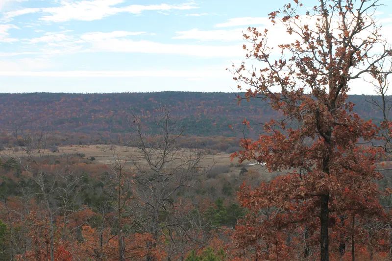 Indian Ridge – Phase I photo 4