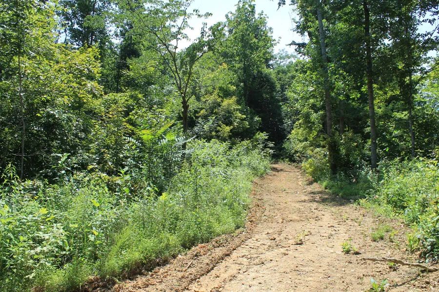 Cumberland Ridge Ranch photo 3