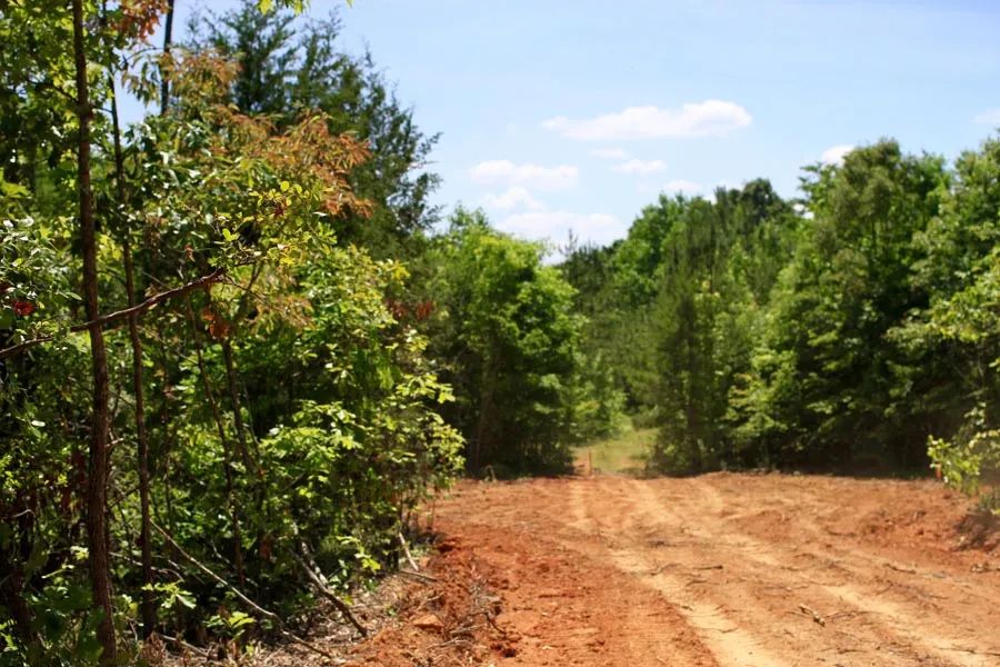 Hickory Hill Ranch photo 5
