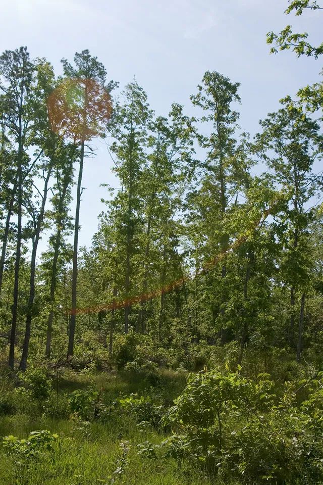 Blue Sky Ranch photo 3