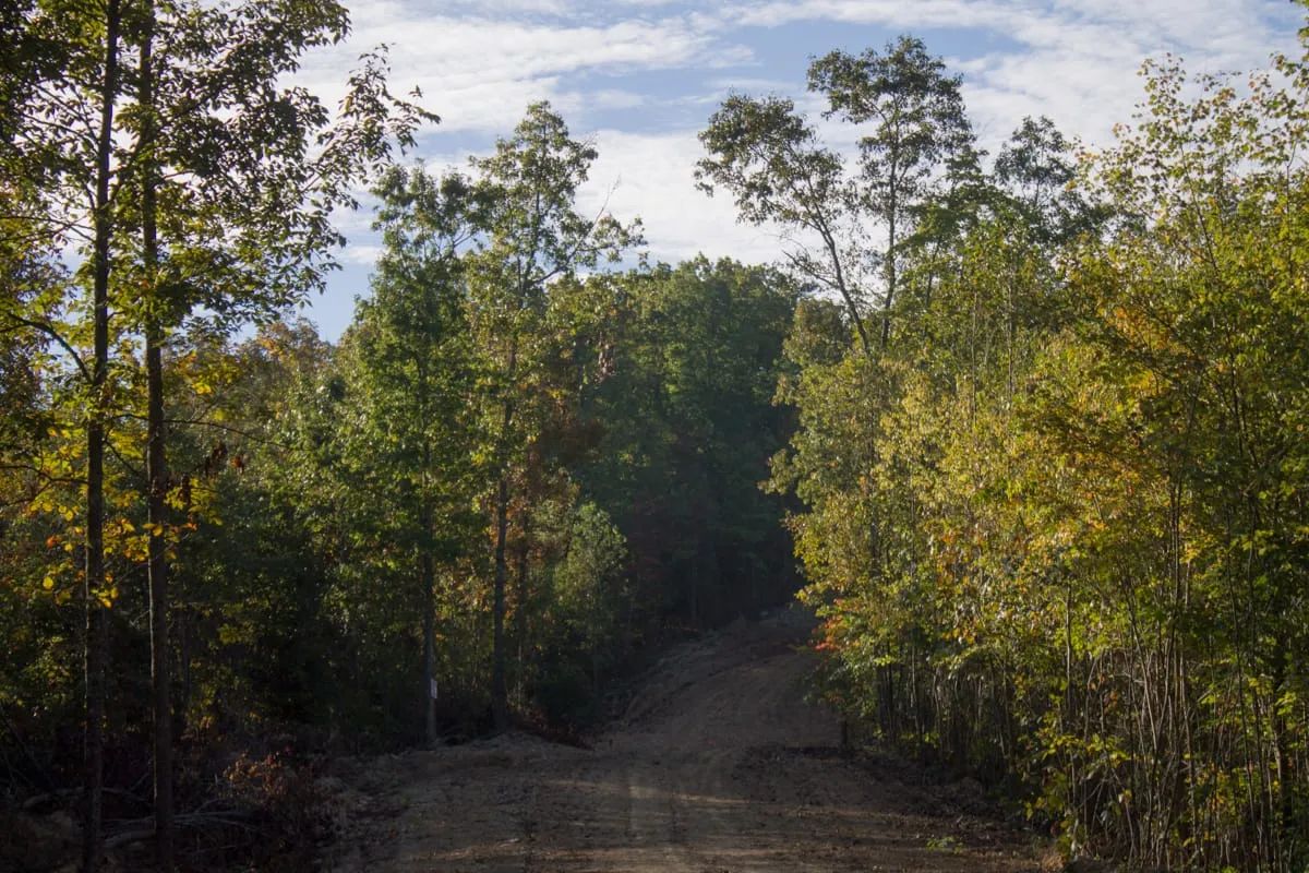 Black Oak Ranch photo 4