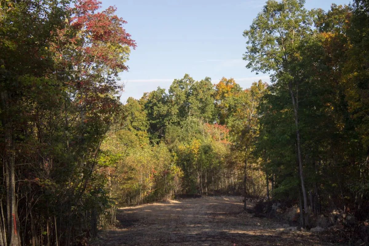 Black Oak Ranch photo 5