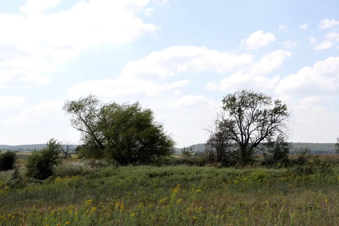 Cowboy Meadows photo 4