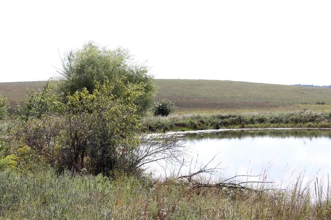 Cowboy Meadows photo 5