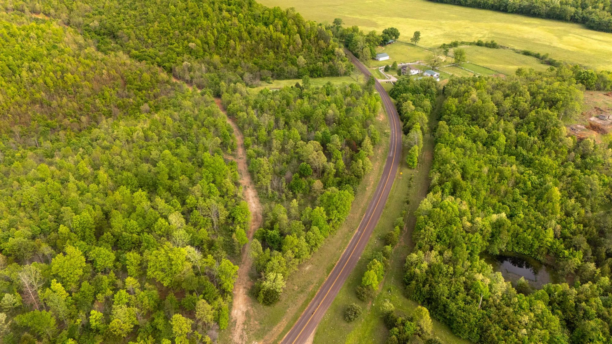 Double S Ranch photo 2
