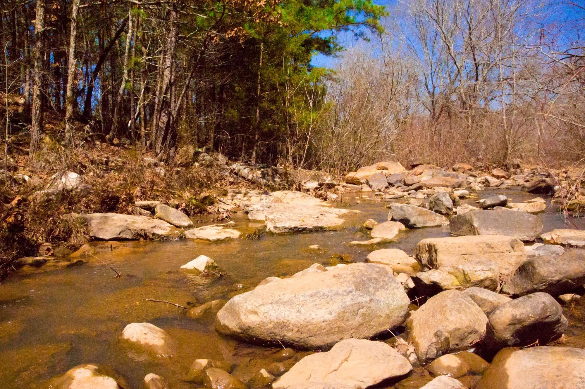 Stone Creek Phase II photo 3