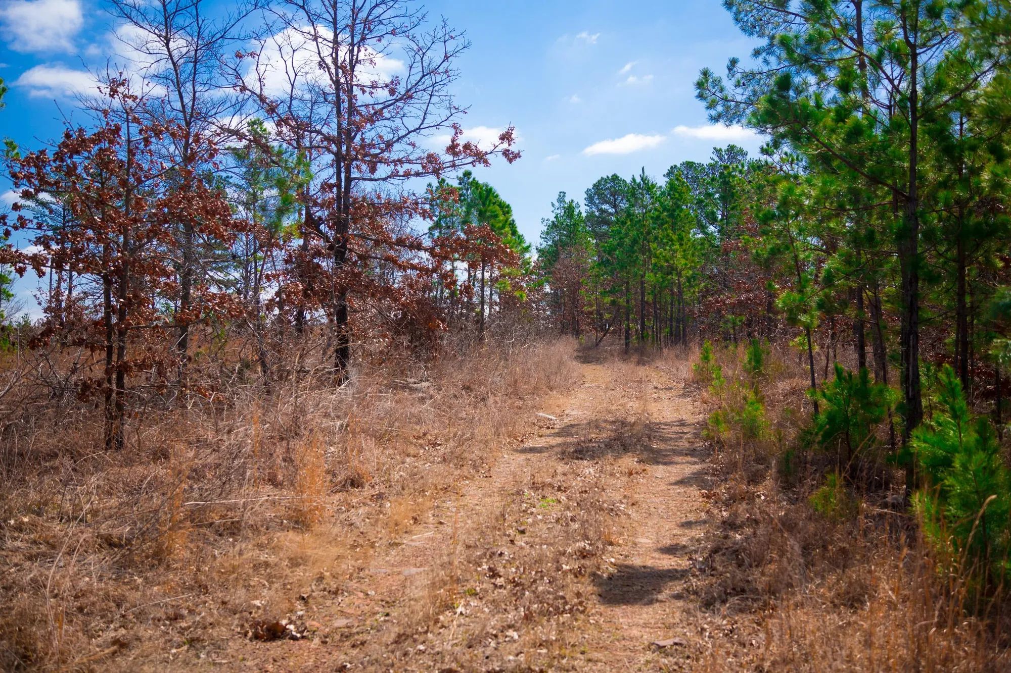Stone Creek Phase II photo 5
