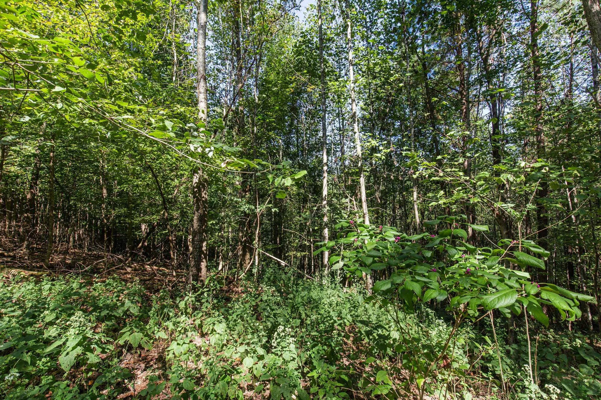 Redemption Ridge photo 4