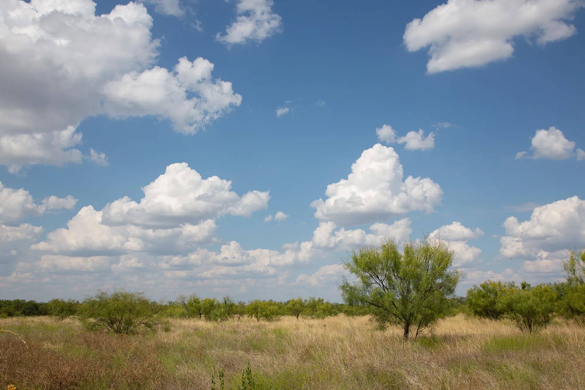 Hunter’s Ranch photo 2