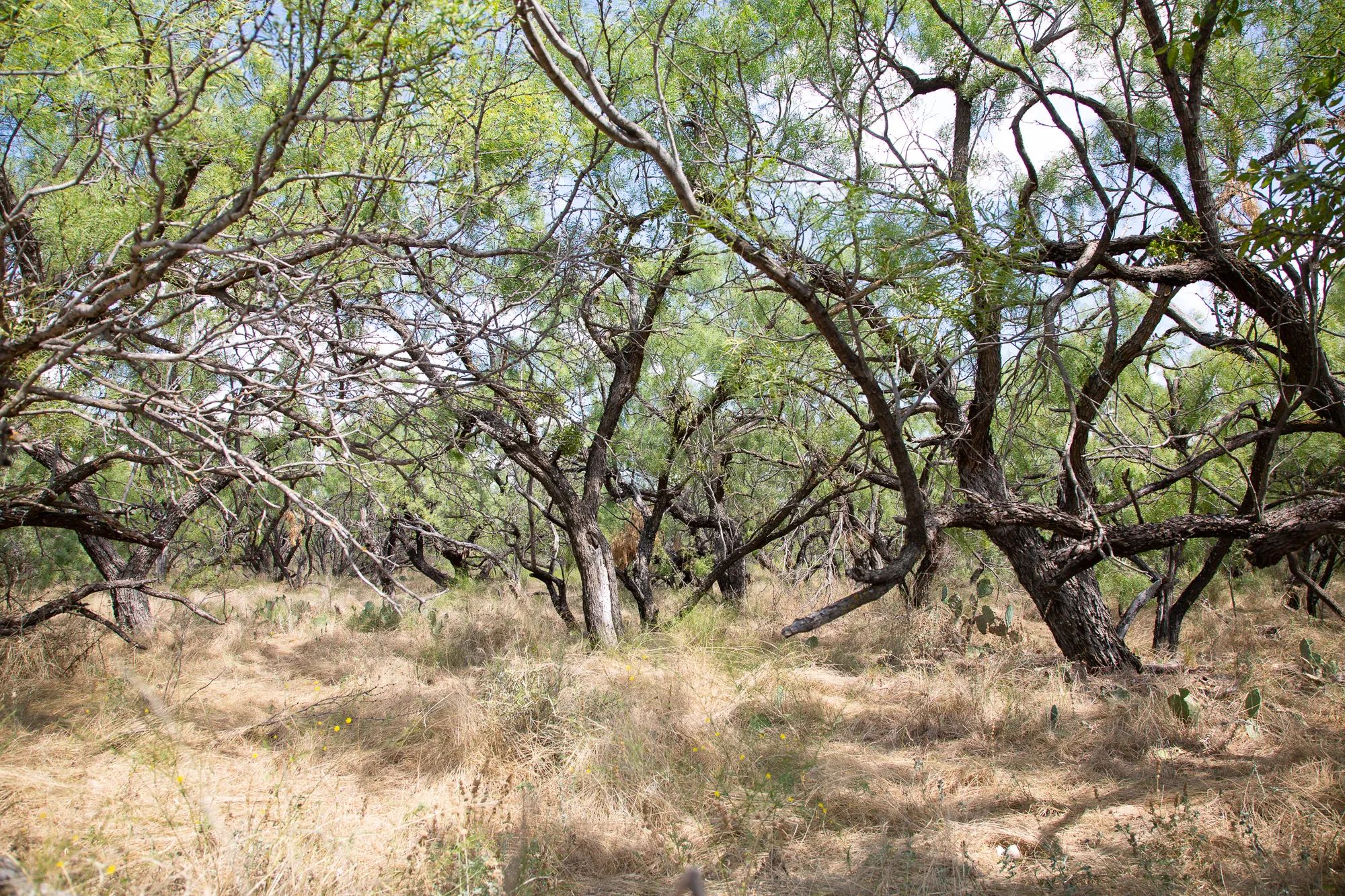 Hunter’s Ranch photo 4