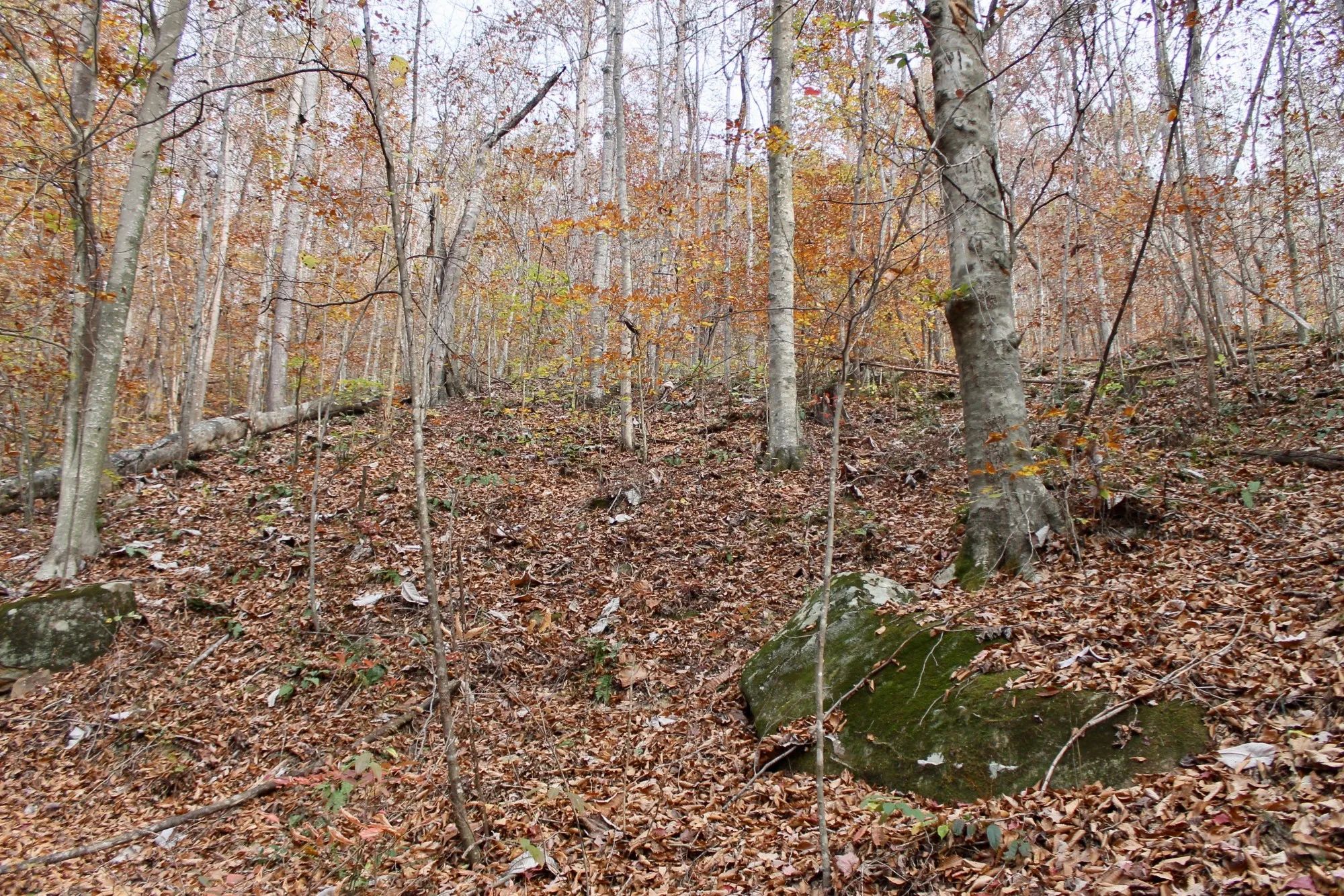 Autumn Ridge photo 3