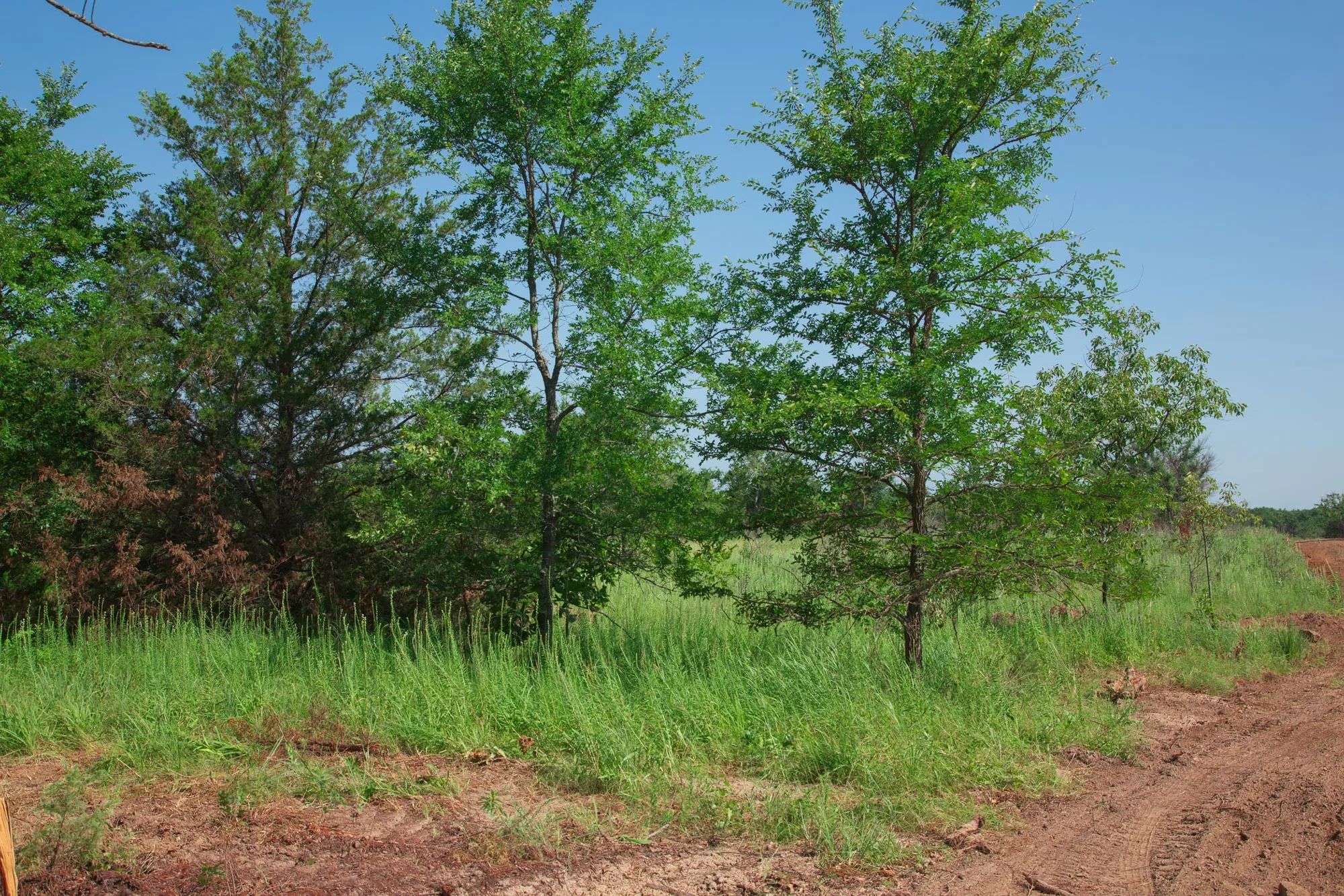 Deep Fork Ranch photo 3