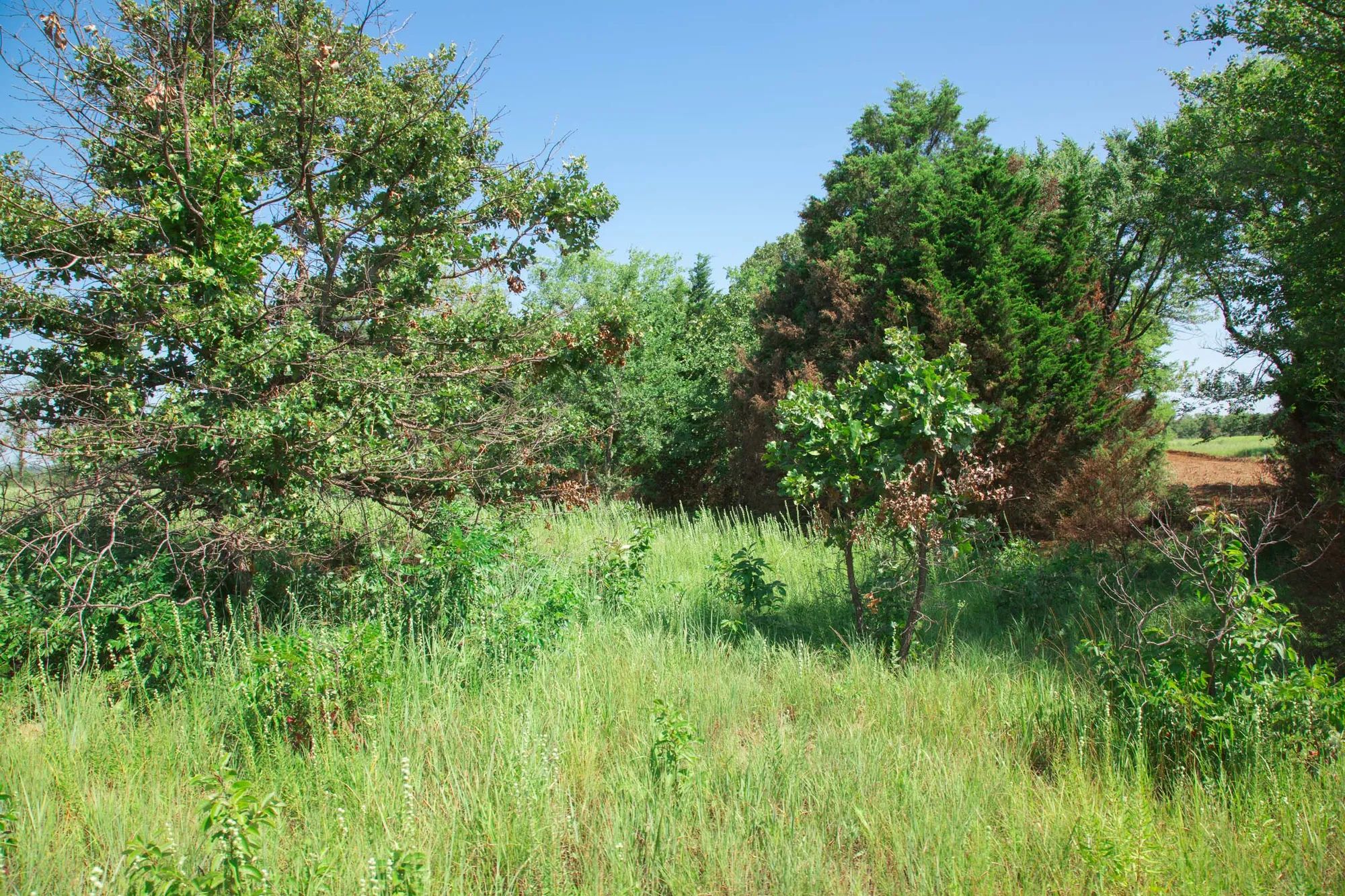 Deep Fork Ranch photo 4