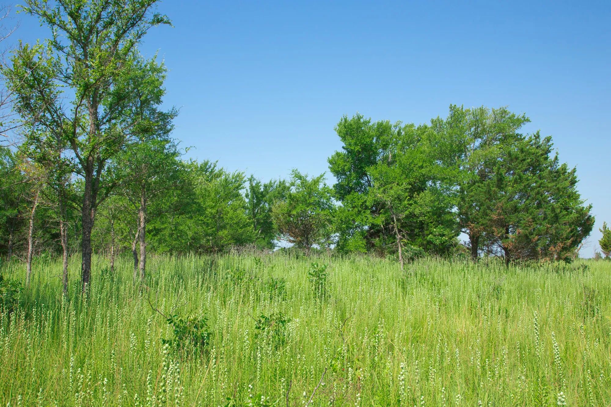 Deep Fork Ranch photo 5