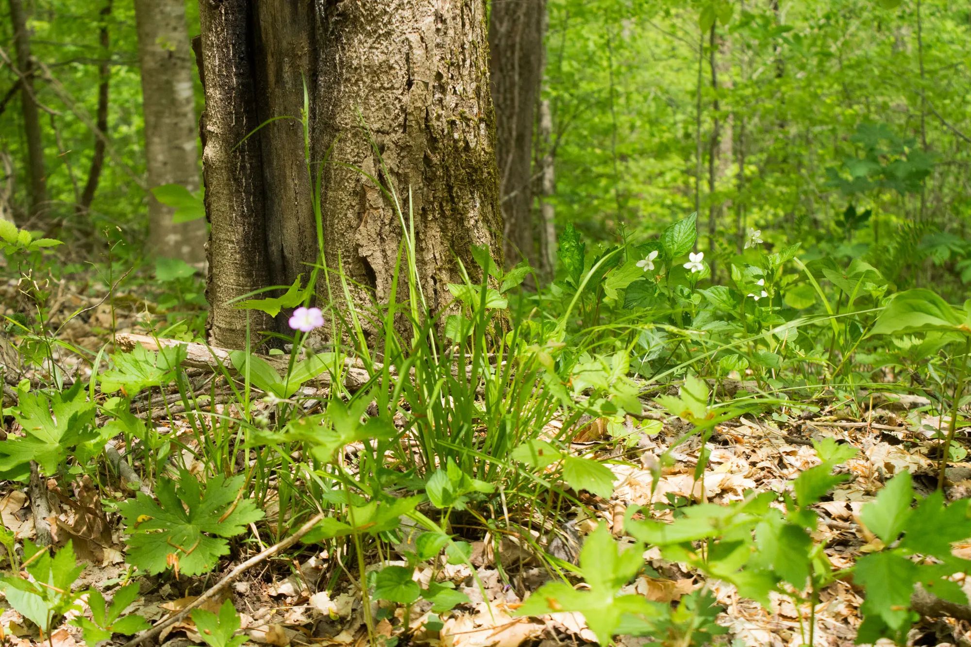 Trails End photo 5