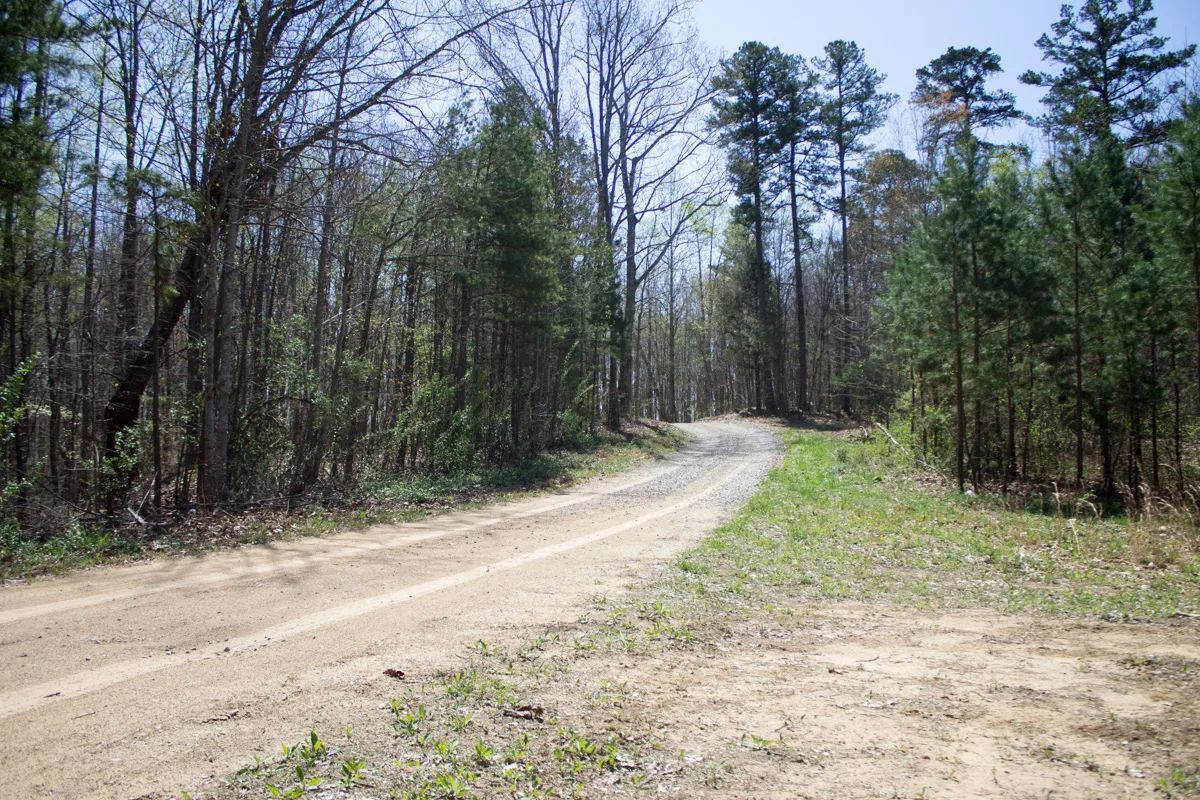 Chestnut Oak Ridge photo 5