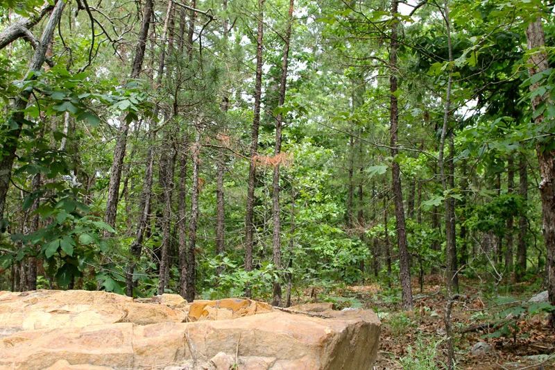 Trophy Ridge Phase III photo 2