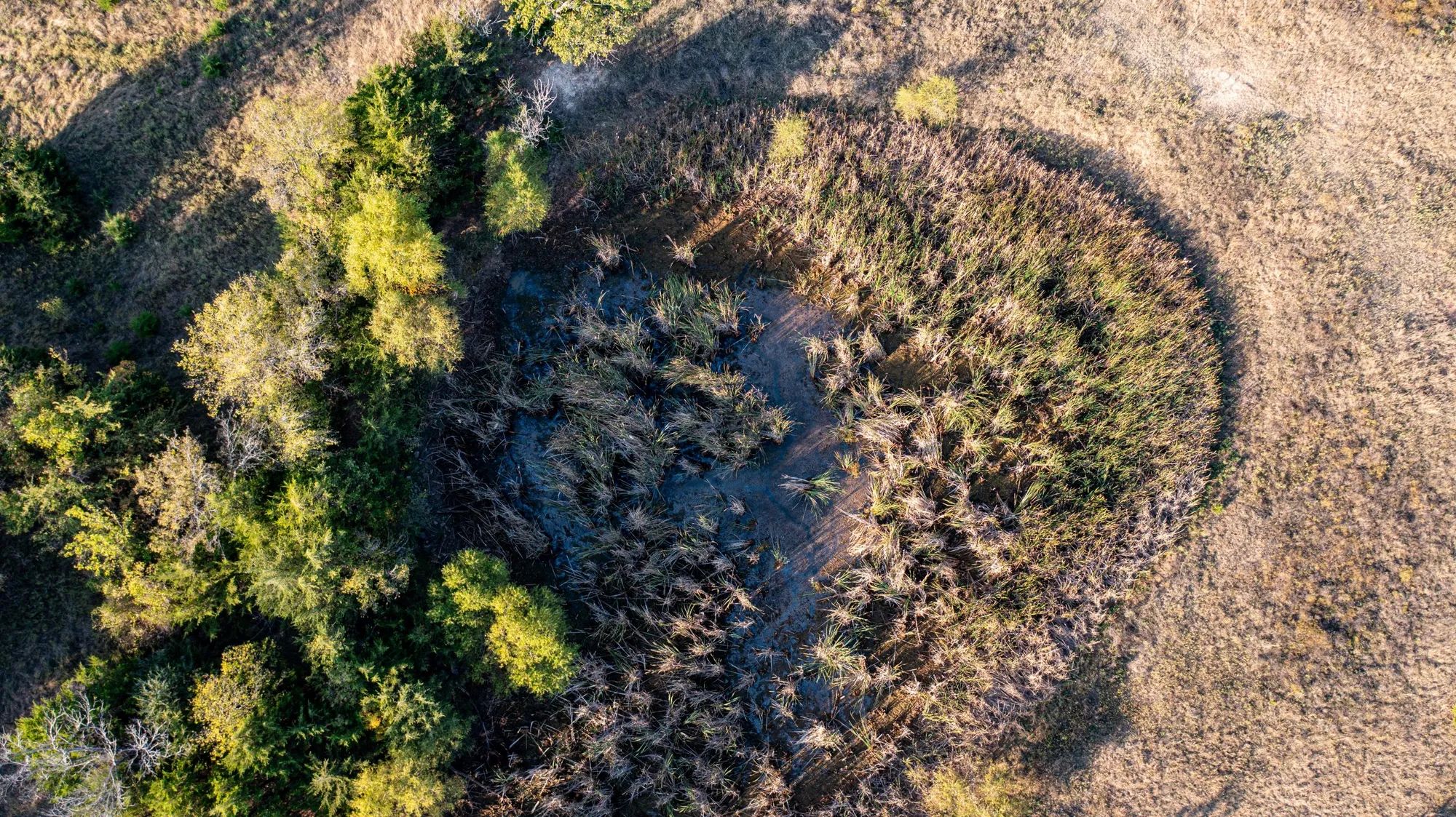 Canyon Creek photo 3