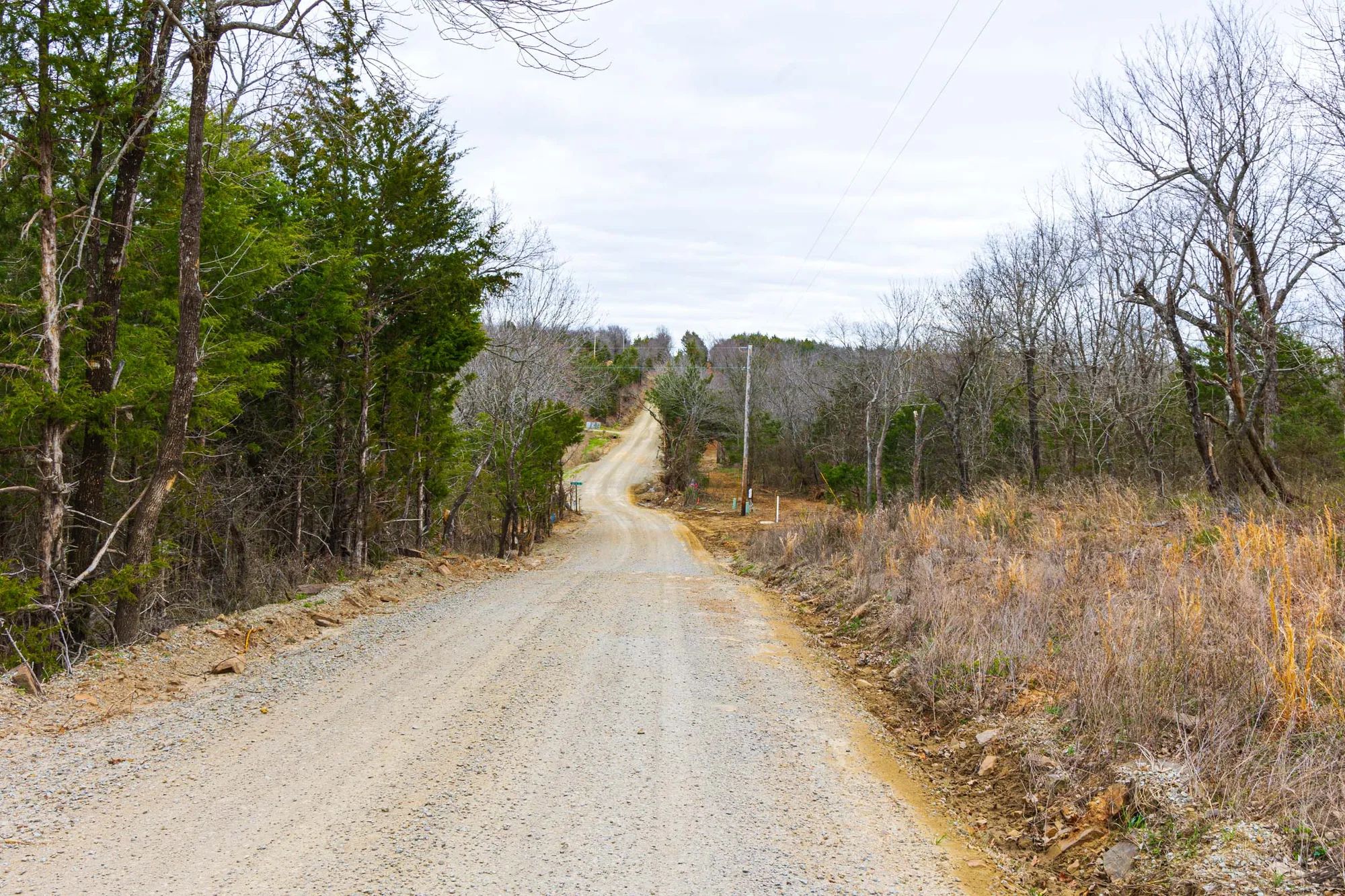 Reserves At Cattail Cove Phase I photo 3