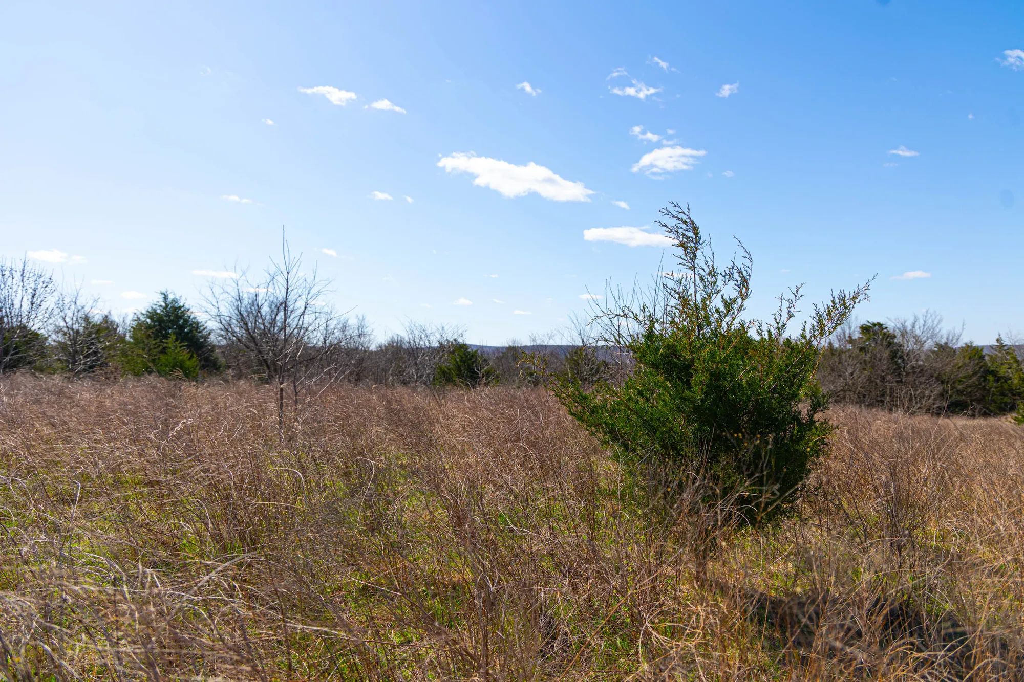 Reserves At Cattail Cove Phase I photo 4