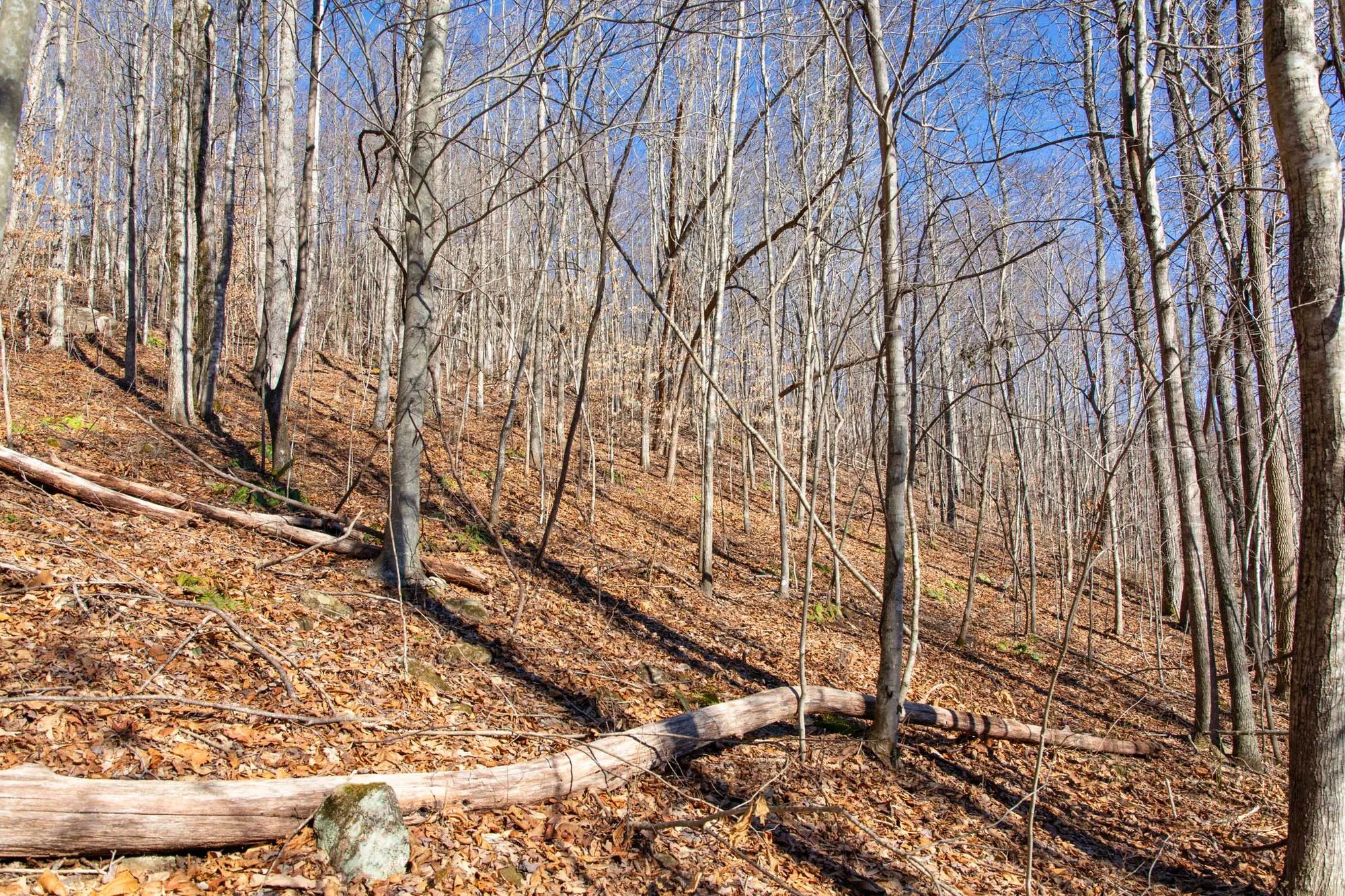 Blackstone Mountain Phase I photo 2