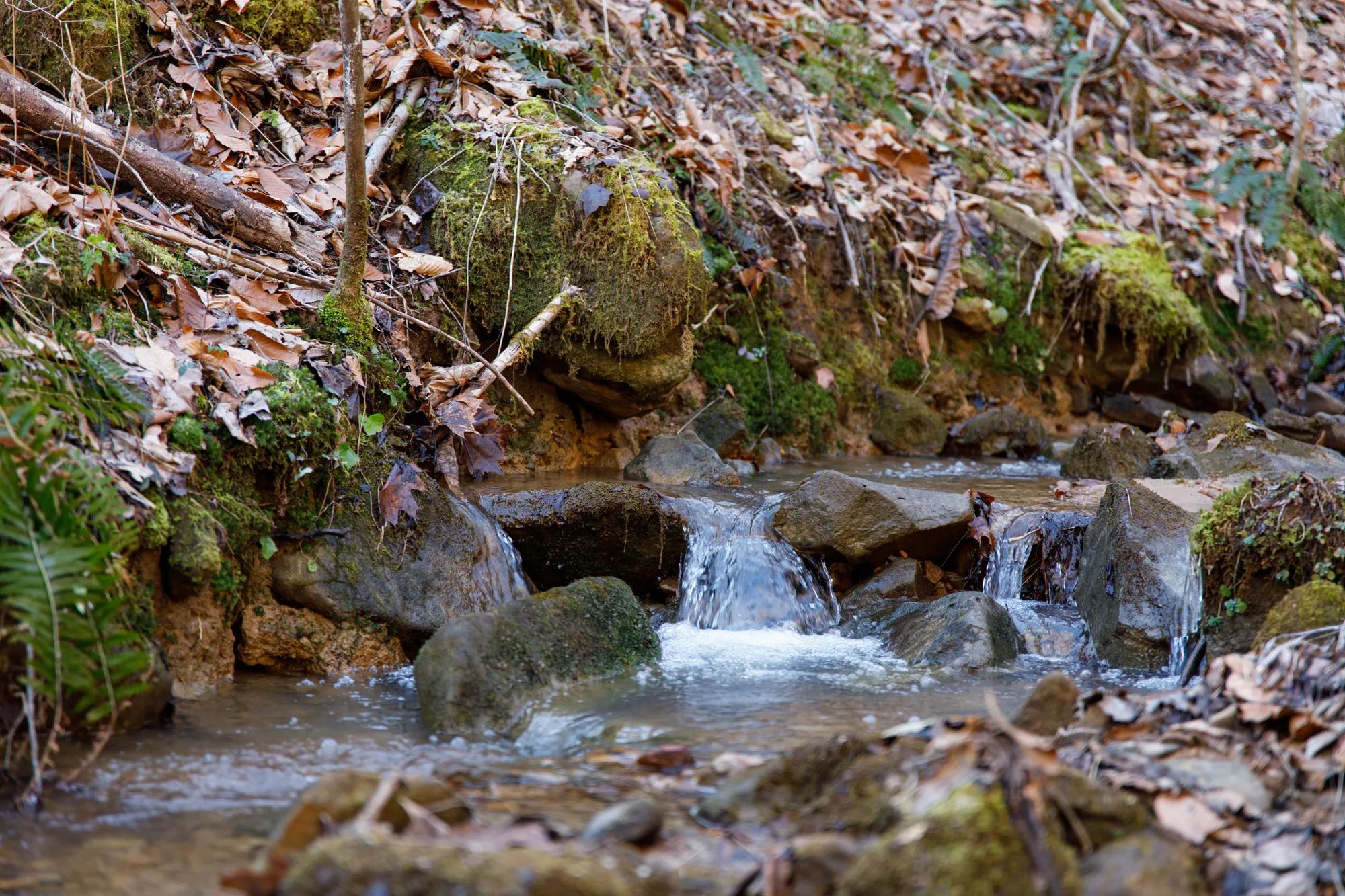 Blackstone Mountain Phase I photo 3