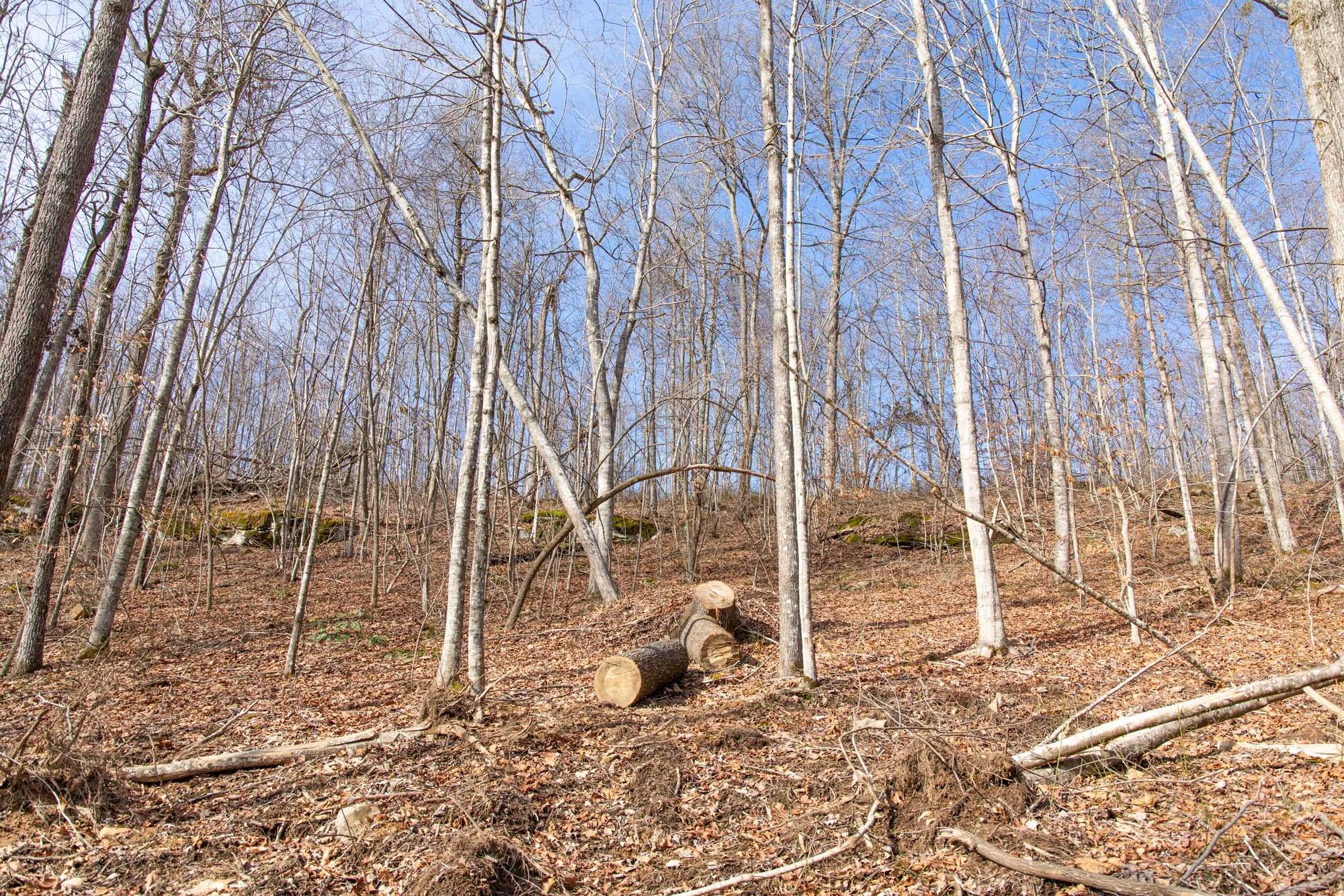 Blackstone Mountain Phase I photo 5