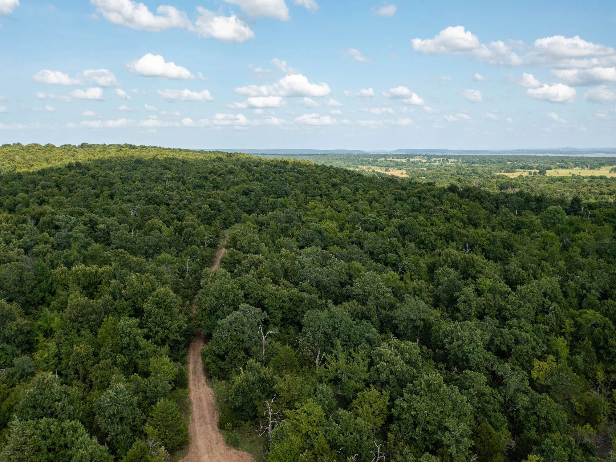 Timber Ridge photo 3