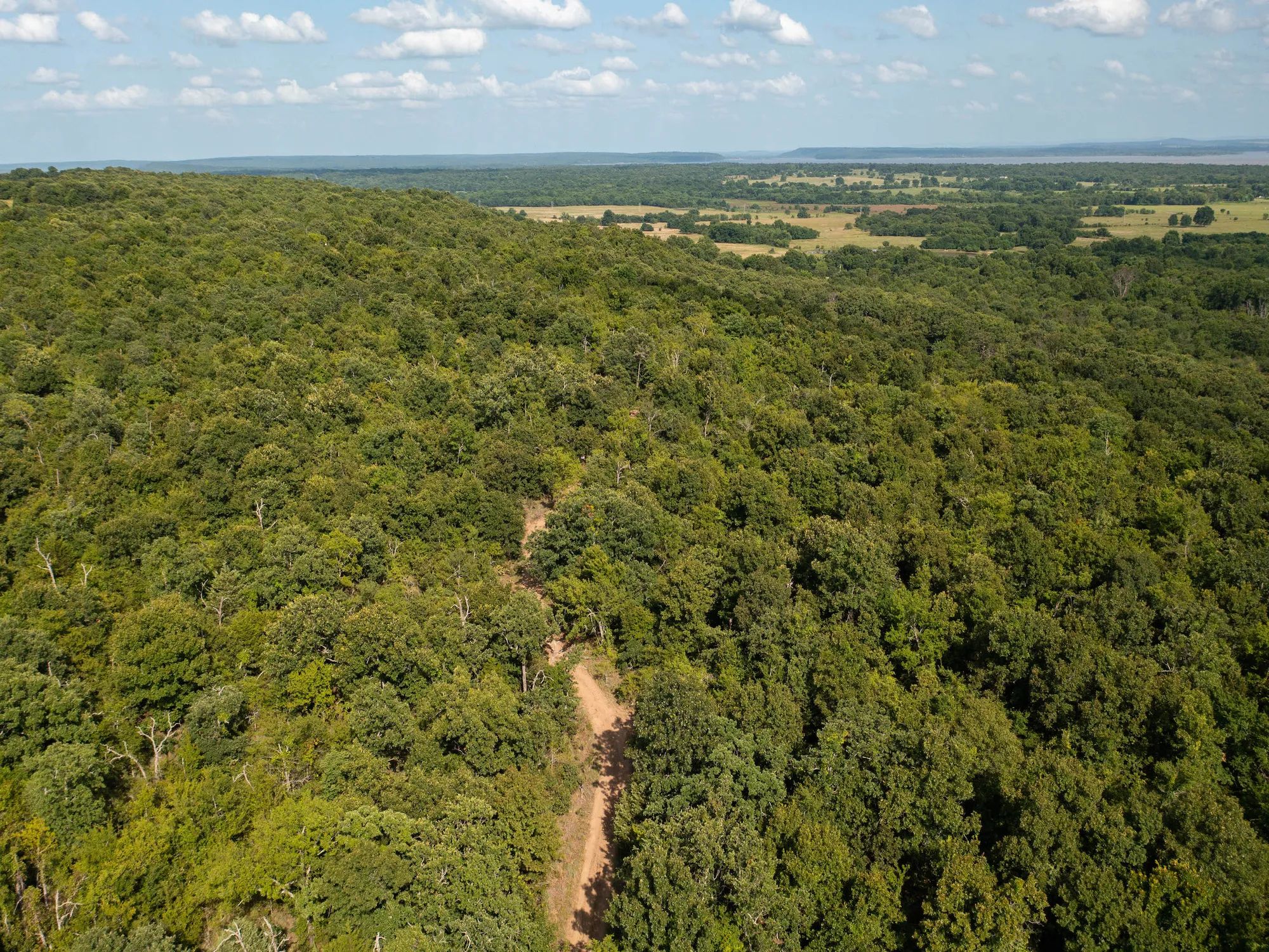 Timber Ridge photo 4