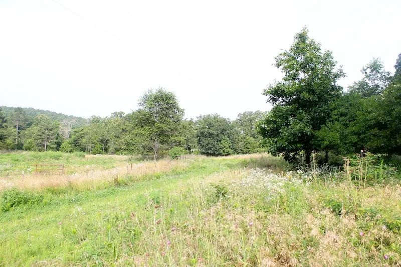 Green Mountain Ranch photo 2