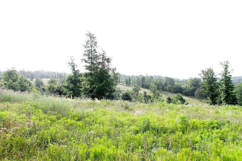 Green Mountain Ranch photo 4