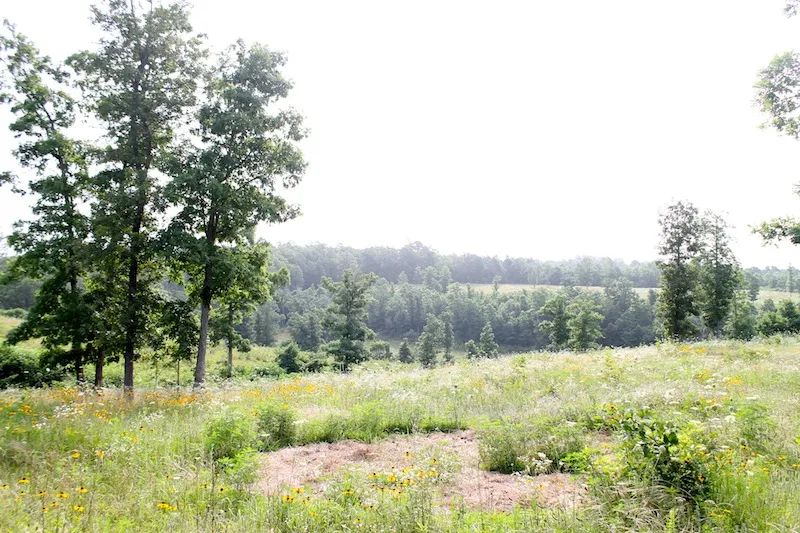 Green Mountain Ranch photo 5