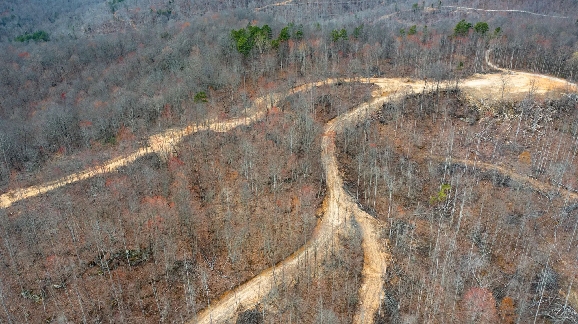 Creek Hollow Phase I photo 3