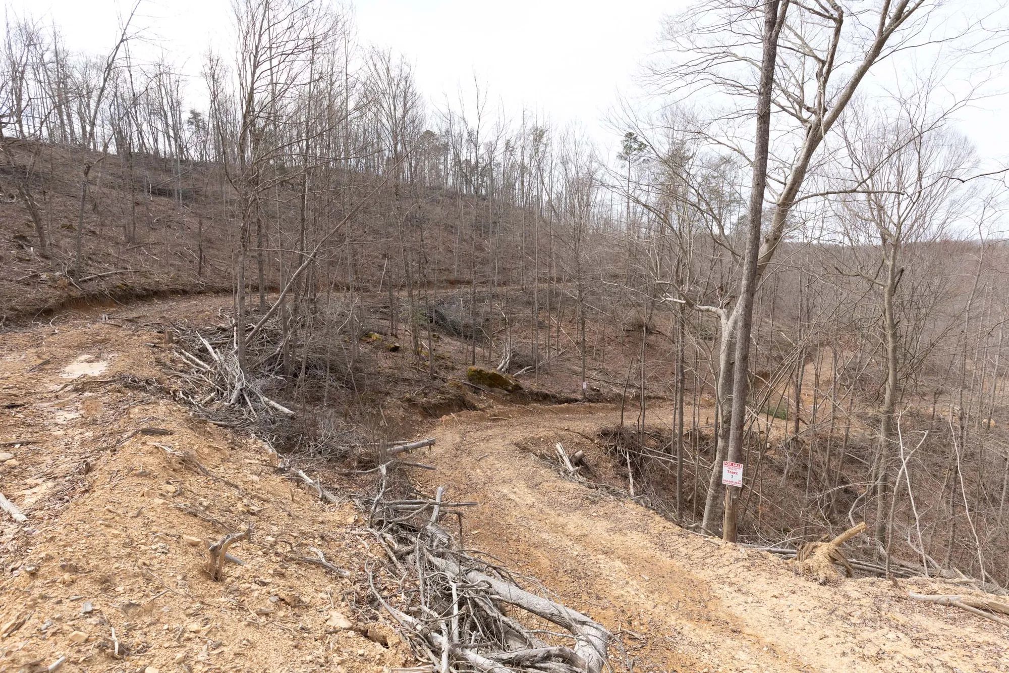 Creek Hollow Phase I photo 4