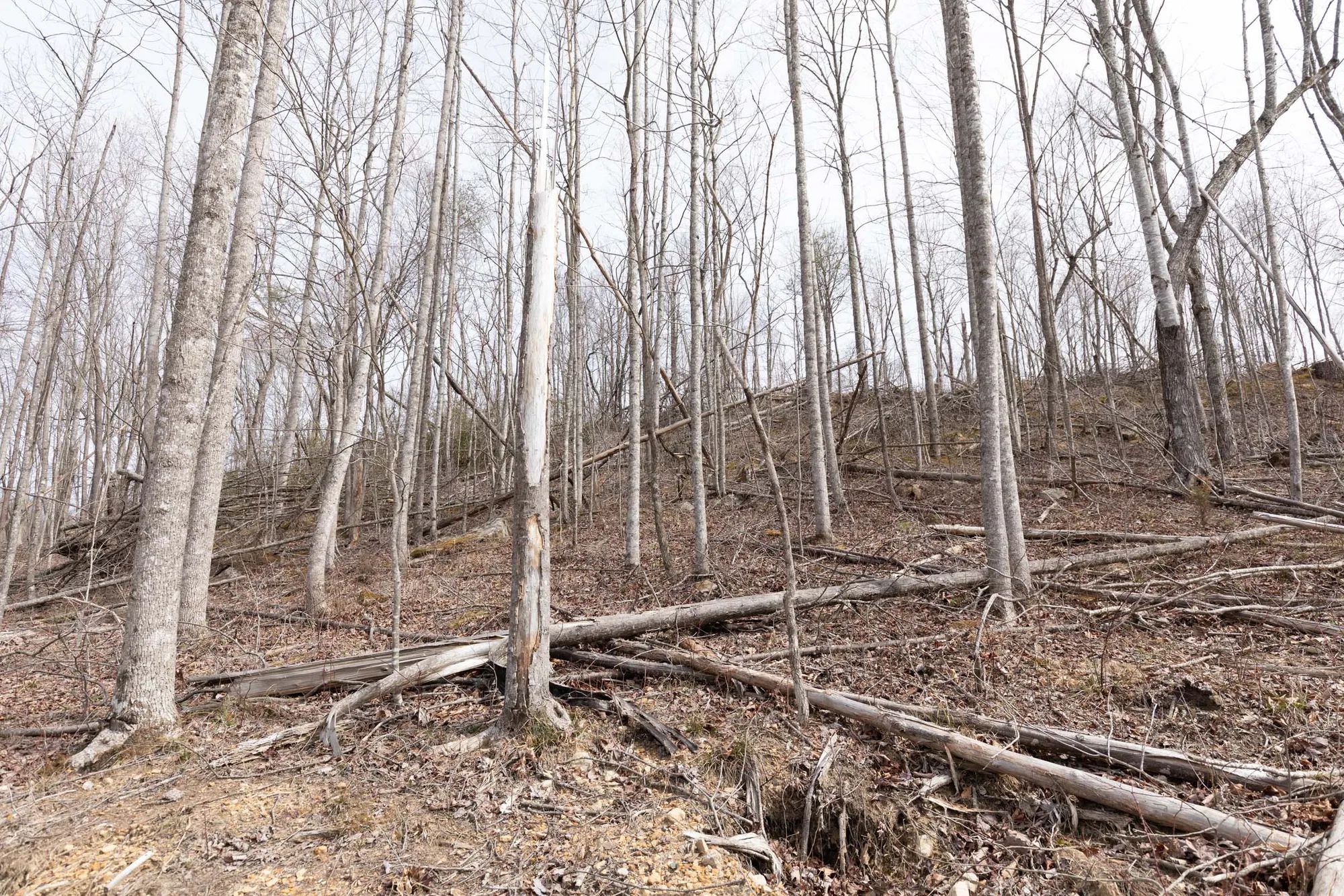 Creek Hollow Phase I photo 5