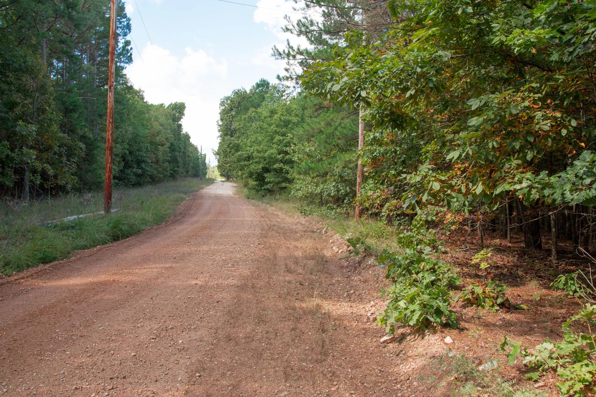 Wagon Wheel Ranch photo 4