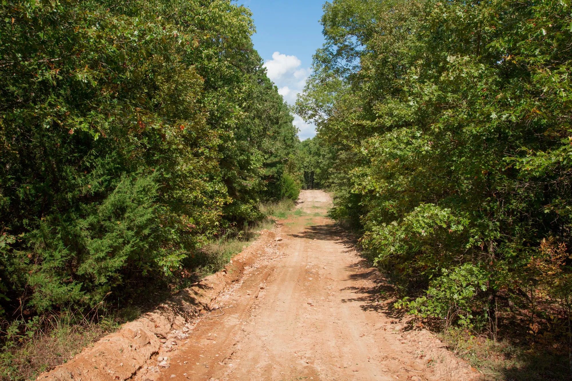 Wagon Wheel Ranch photo 5