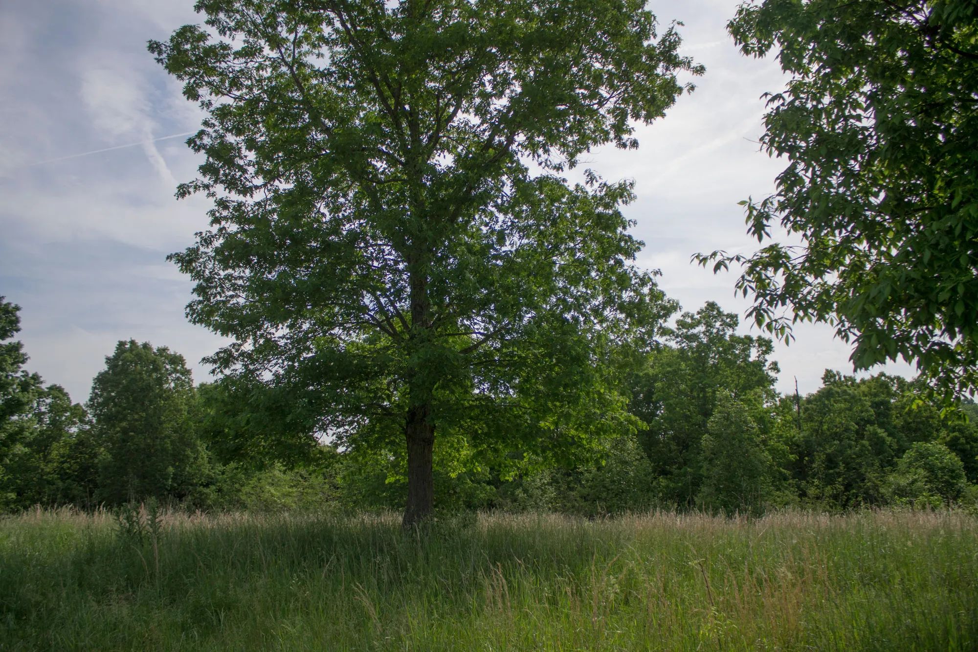 Laurel Ridge photo 4